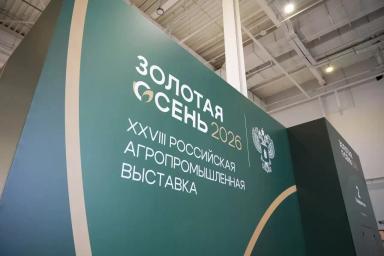 От урожая до прилавка: хранение решает