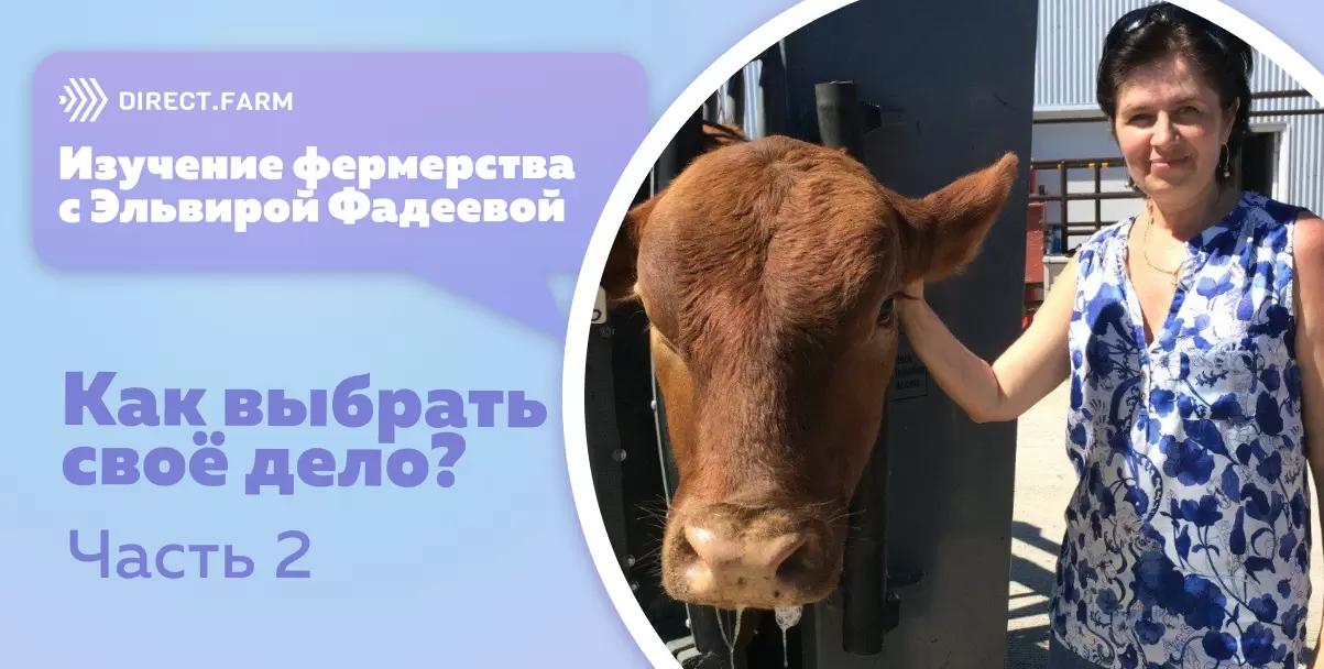 Изучение фермерства с Эльвирой Фадеевой. Часть 2 – Как выбрать свое дело?