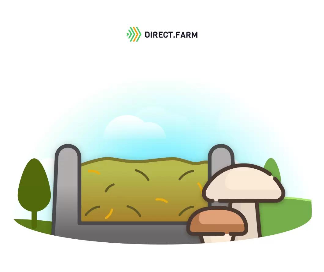 Почему в силосе растут грибы?