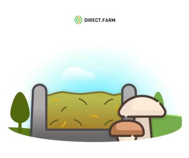 Почему в силосе растут грибы?