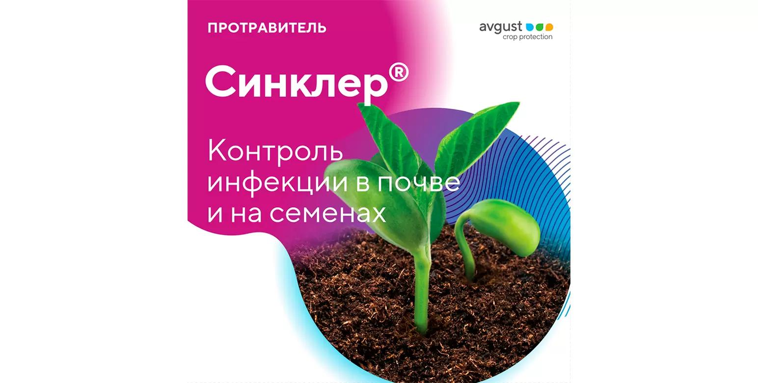 Синклер® – фунгицидный протравитель для широкого спектра культур