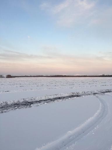 Делаем снегозадержание.