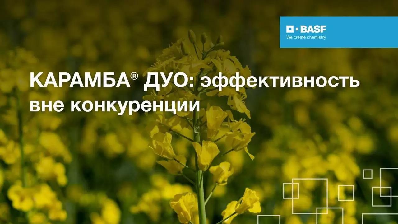 КАРАМБА ДУО: эффективность вне конкуренции