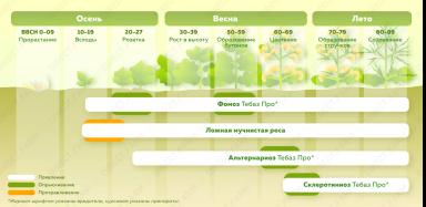 Применение фунгицидов и инсектицидов в посевах рапса