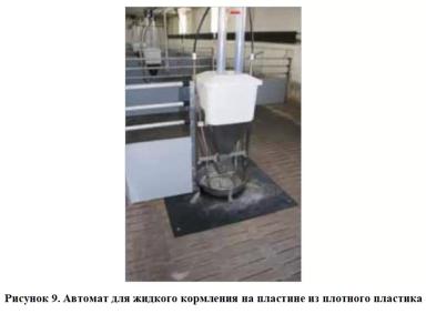 Низкие потери и высокая продуктивность в свиноводстве – сочетаемы