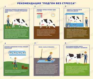 Подгон без стресса