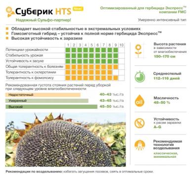 Суберик HTS гибрид подсолнечника