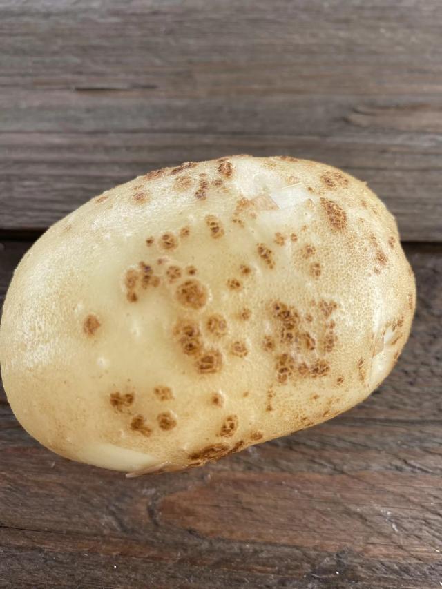 Пятна на картофеле