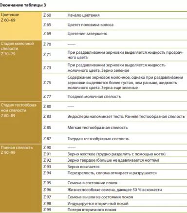 Определение фаз зерновых культур для пестицидных обработок