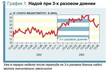 Трехразовое доение коров. Стоит ли?