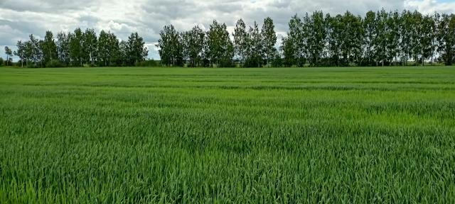 Проблемы сезона 2023 - неоднородность.