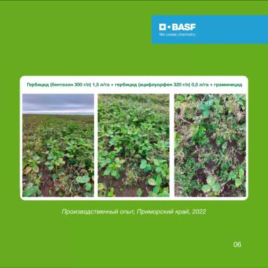 БАЗАГРАН® и другие бентазон-содержащие гербициды на сое: правда и мифы