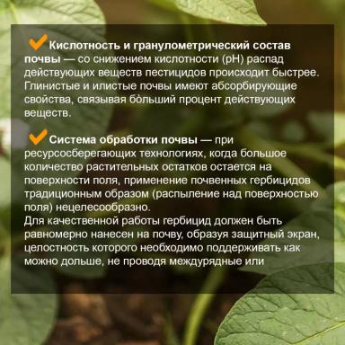 🌱 Продолжаем заботиться о будущем урожае сои.