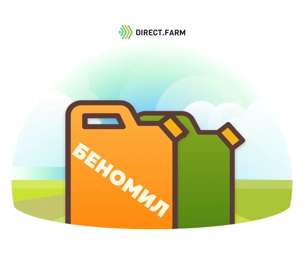 Применение беномила на озимой пшенице