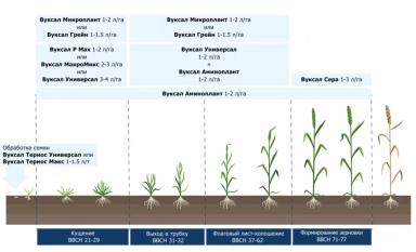 Вуксал – суспензии для внекорневых подкормок