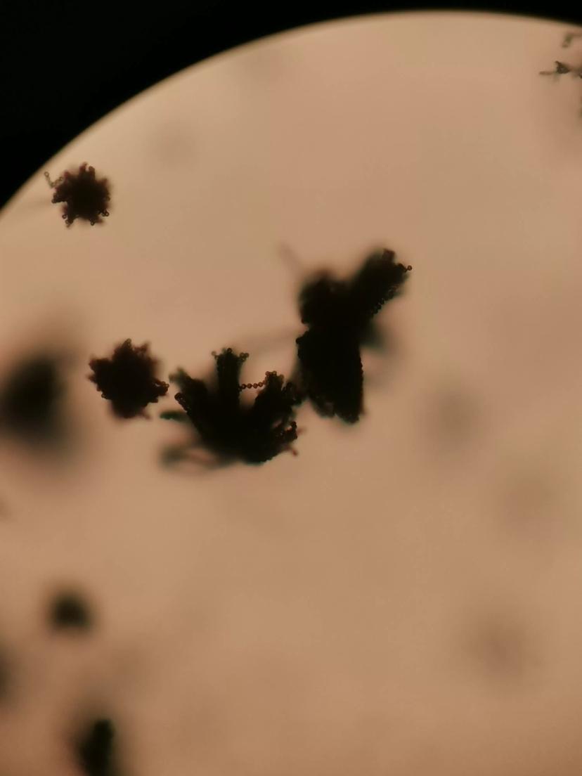 Хочу поделиться эстетикой прохождения моей преддипломной практики в