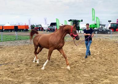 «Август» на «Всероссийском Дне поля-2024». День второй
