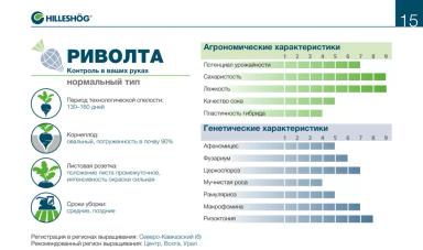 Риволта