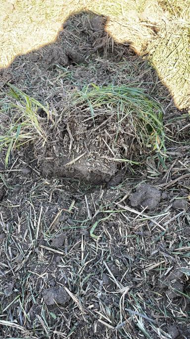 Глубокорыхлитель 