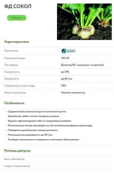 ФД Сокол - гибрид свеклы сахарной (Beta vulgaris L. ssp. vulgaris var. saccharifera Alef.).