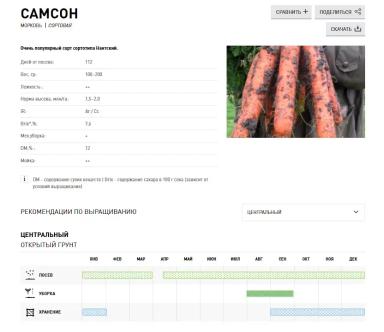 Самсон