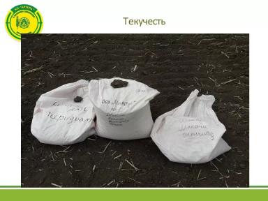 Инокулирование сои