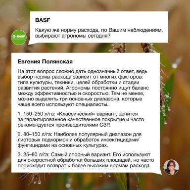 Процесс опрыскивания как часть прибыльного земледелия