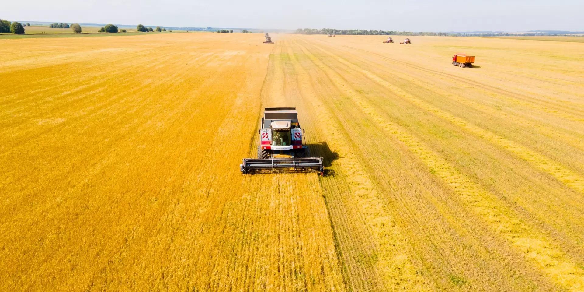 Дефицит техники и избыток зерна угрожают оставить сельхозрекорды в прошлом