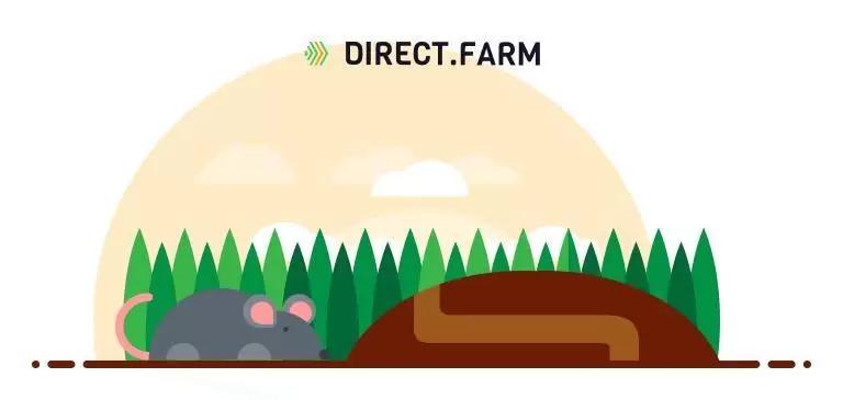 Борьба с грызунами