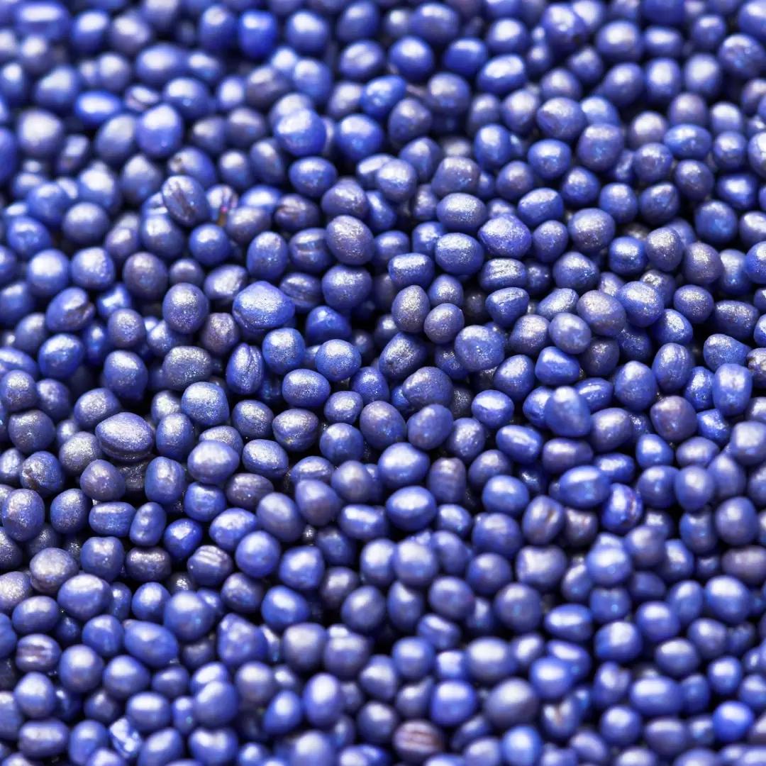 Яровой рапс. Протравливать нужно!