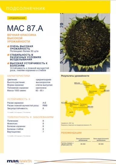 МАС 87. А подсолнечник