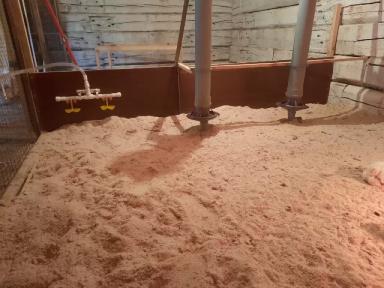 Обустройство птичника в сарае