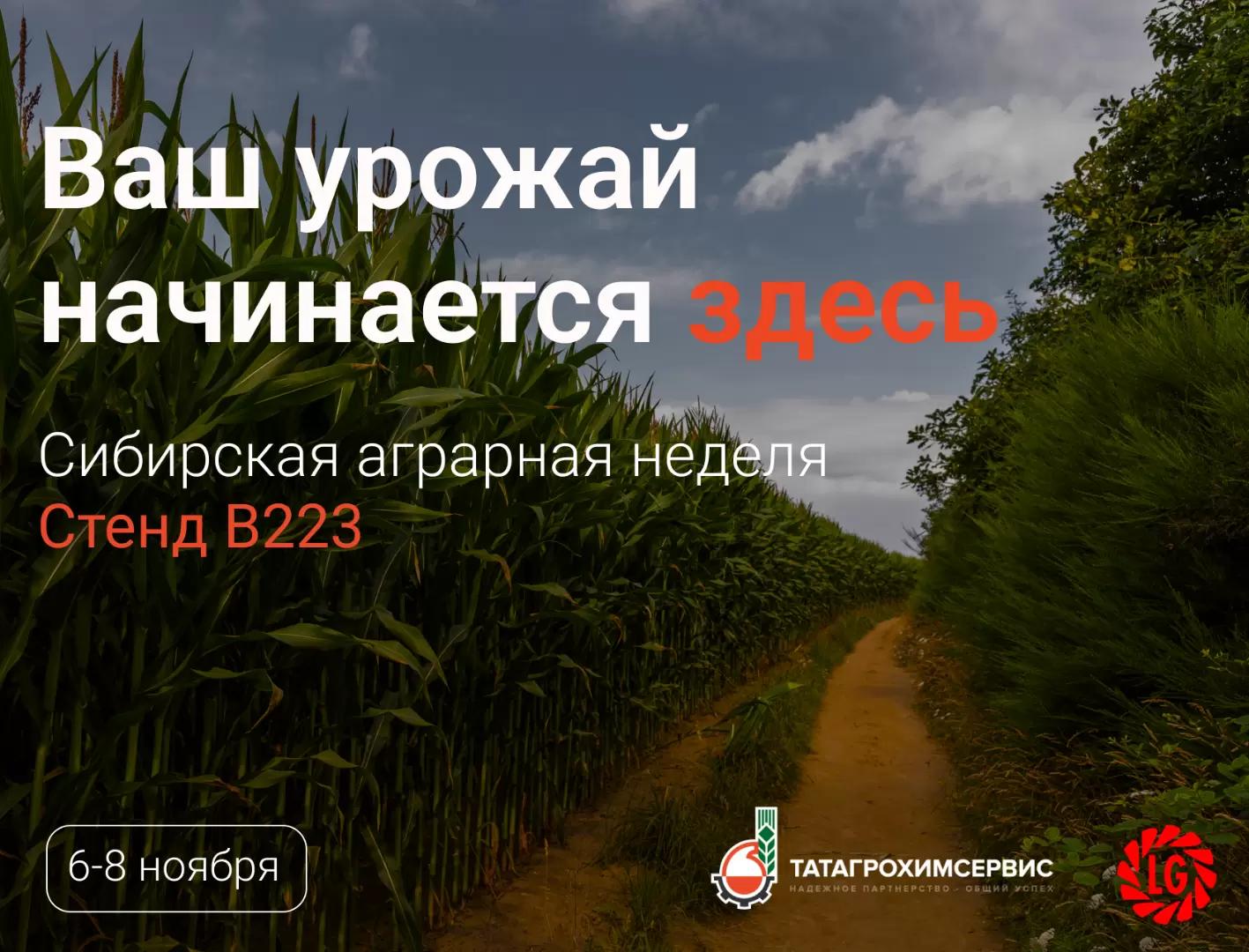 🌱 Готовы к рекордному урожаю? Начнем с выбора семян!