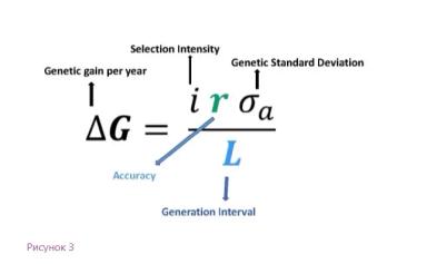 Генотип и окружающая среда: включение факторов среды в племенные оценки животных