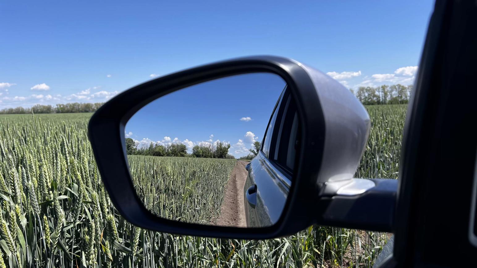 Очень красиво у нас в полях