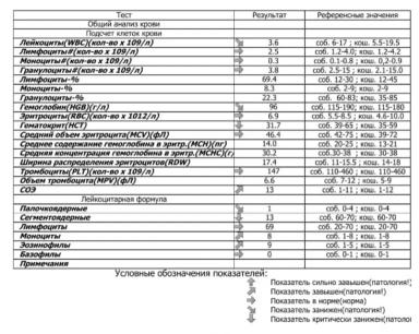 Вопросы из чатов: почему лошадь угнетена?