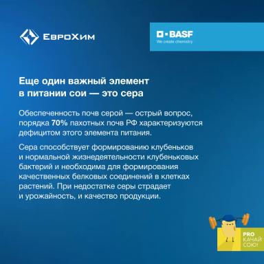 PROкачай сою! "Кормим" сою правильно