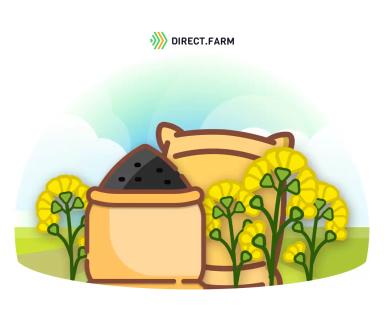 Новые сорта ярового рапса