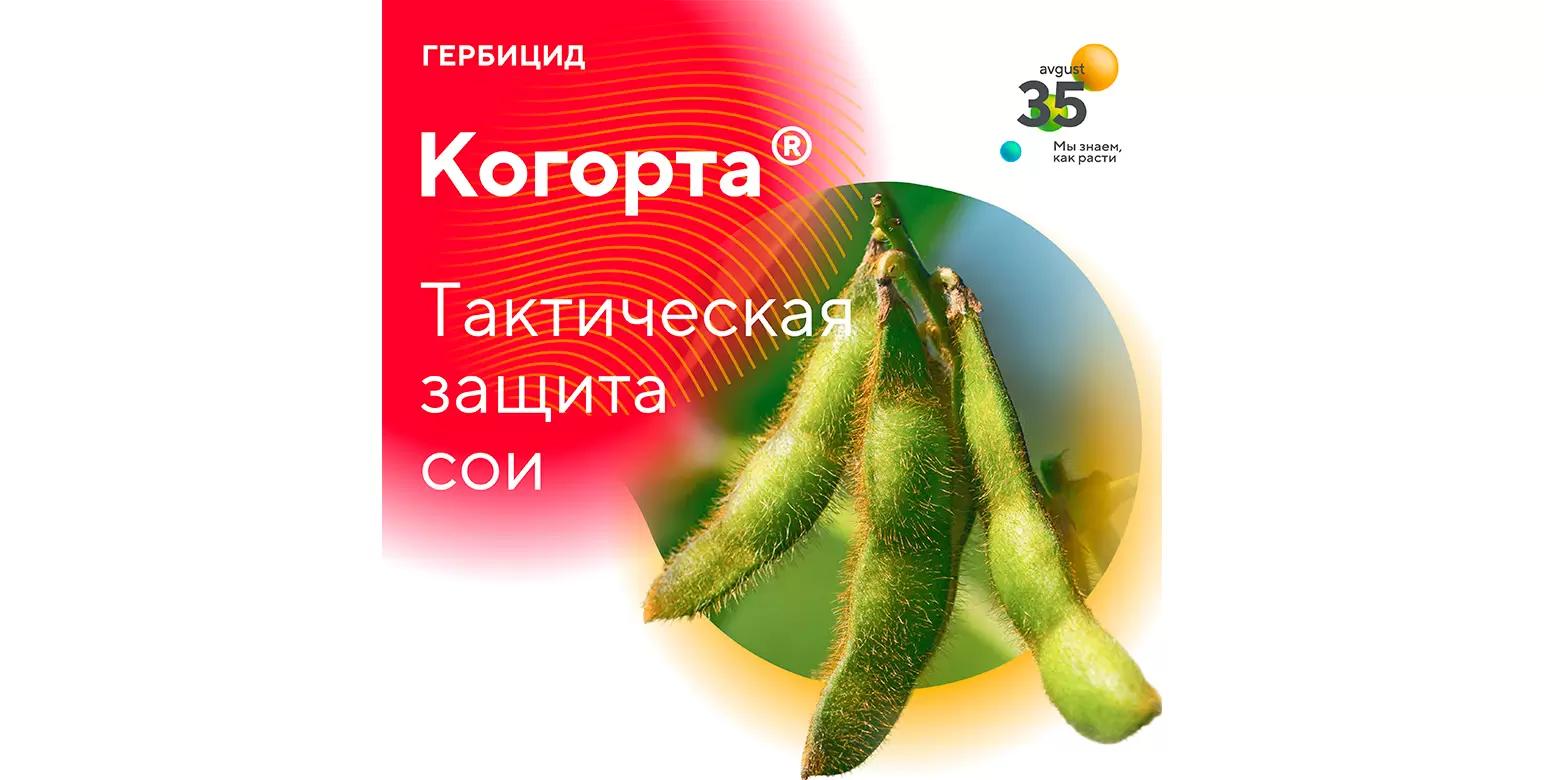 Когорта® –гербицид для борьбы с сорняками в посевах сои