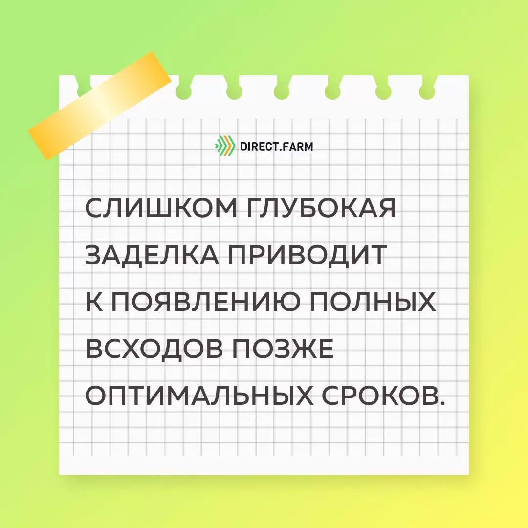 Записки агронома 