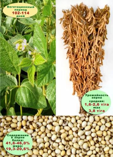 Белгородская 8