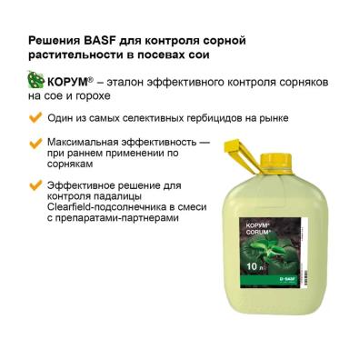 Соевый агрокалендарь: июнь
