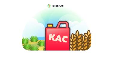 Восстановление посевов озимой пшеницы