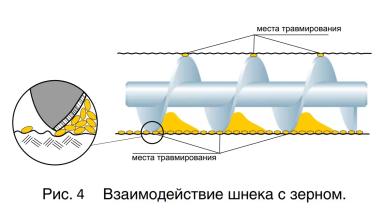 Механические повреждения семян