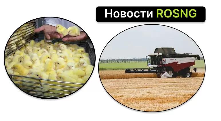 Дайджест новостей за 10 августа