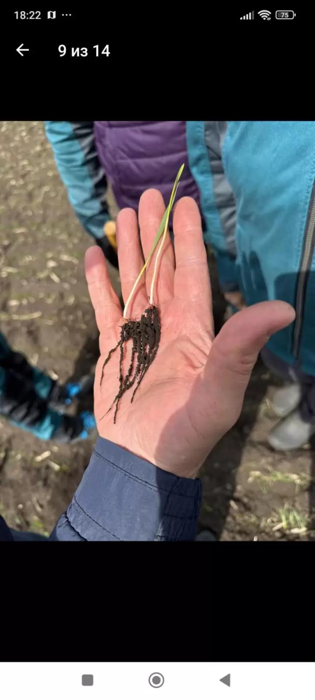 #вайбрансинтеграл #силакорней https://www.syngenta.ru/