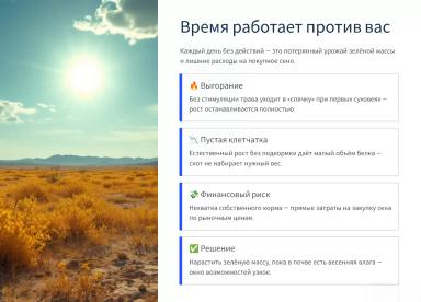 «Зелёный взрыв» для пастбищ Калмыкии