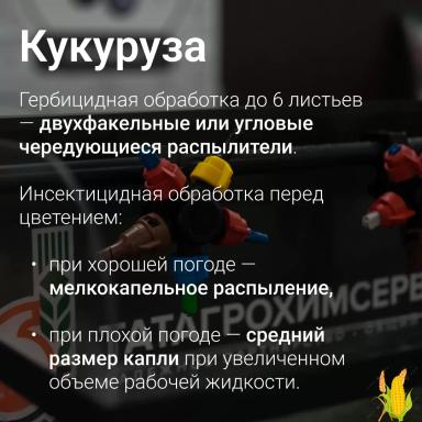 🎯 Точно в цель: подбираем распылитель под разные культуры