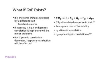Генотип и окружающая среда: включение факторов среды в племенные оценки животных