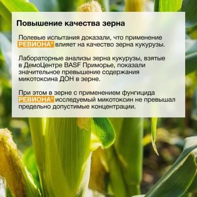 Первые результаты применения фунгицида РЕВИОНА®